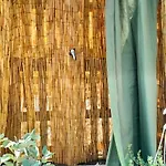 Campismo de Luxo Malibu ' Lauria Inferiore